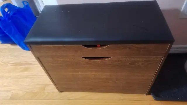 Shoe Organizer