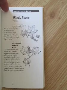 SPRING WILDFLOWERS by Albert E. Roland - 1993 SC - Photo 6