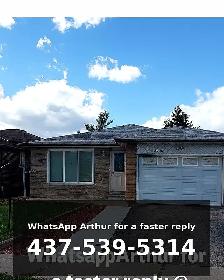 2 Bedroom Basement Apartment for Rent - Malton Mississauga - Ava - Photo 5