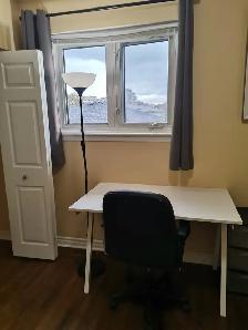 North York Bathurst/Steeles Close to York University rent female - Photo 3