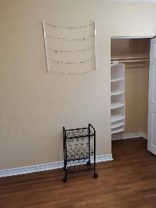 North York Bathurst/Steeles Close to York University rent female - Photo 5