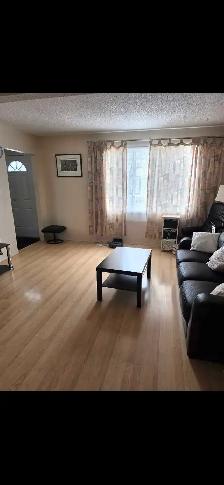 Room for rent in Hinton Alberta - Photo 3