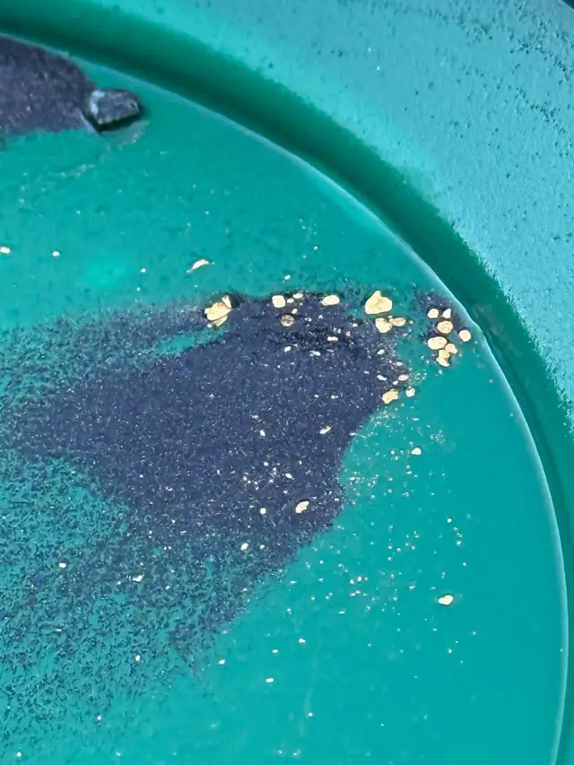 Gold Claim For Sale  Fraser River Williams Lake area