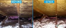 Attic Mold