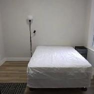 June 1st-Preston st-Share 3bd apt-10m/Carleton/Ottawa U-SeeVIDEO - Photo 2