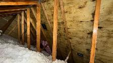 Attic Mold