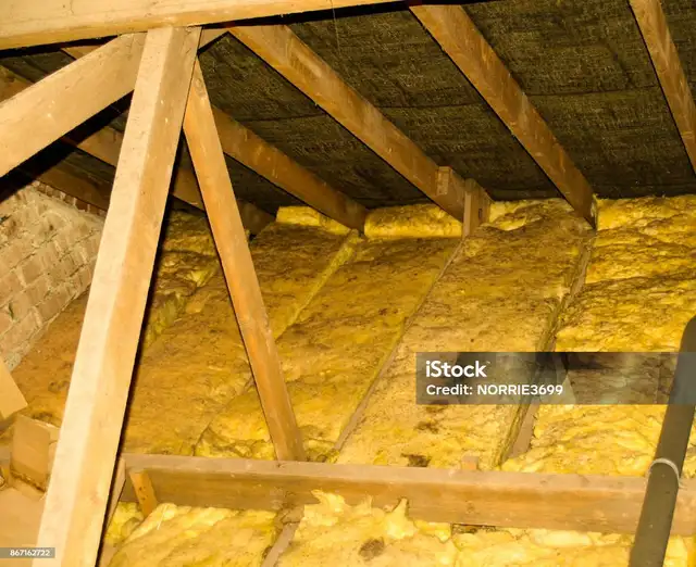 Attic Mold