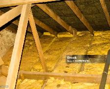 Attic Mold