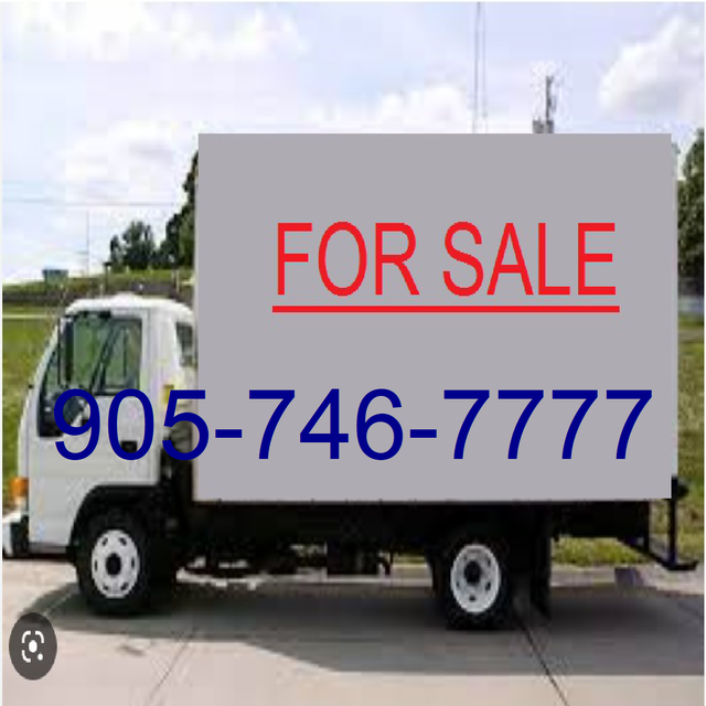 Boost business with 905 647 416 phone numbers on sale now
