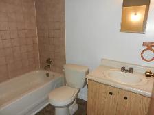 Beautiful, spacious & spotless 2 bedroom apt - Photo 6