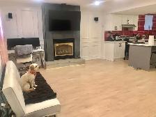 Spacious 3 Bedroom Upper Unit for Lease in St. Catharines - Photo 27