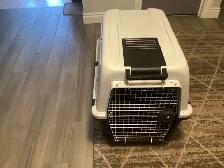 Dog kennel - Photo 2