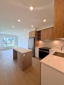 1 bed 1 bath in New West BRAND NEW
