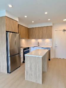 1 bed 1 bath in New West BRAND NEW - Photo 2