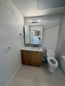 1 bed 1 bath in New West BRAND NEW - Photo 6