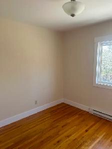 Renovated 2 bedroom apartment - Photo 4