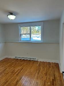 Renovated 2 bedroom apartment - Photo 7