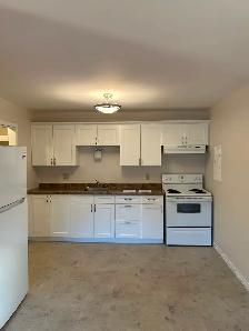 Renovated 2 bedroom apartment - Photo 10