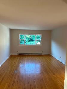 Renovated 2 bedroom apartment - Photo 12
