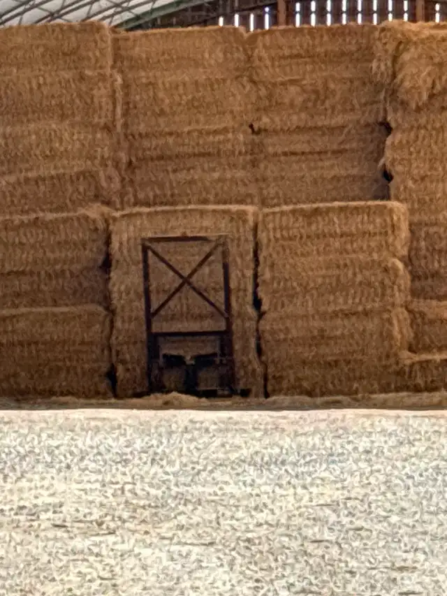 Straw for sale