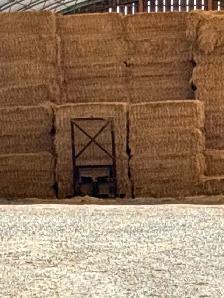 Straw for sale