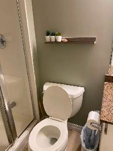 Looking for roommate near Union Station - Photo 6