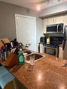 Looking for roommate near Union Station - Photo 9