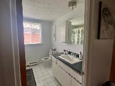 4 1/2 -2 balcons-petit immeuble-luxueux-juillet - Photo 5
