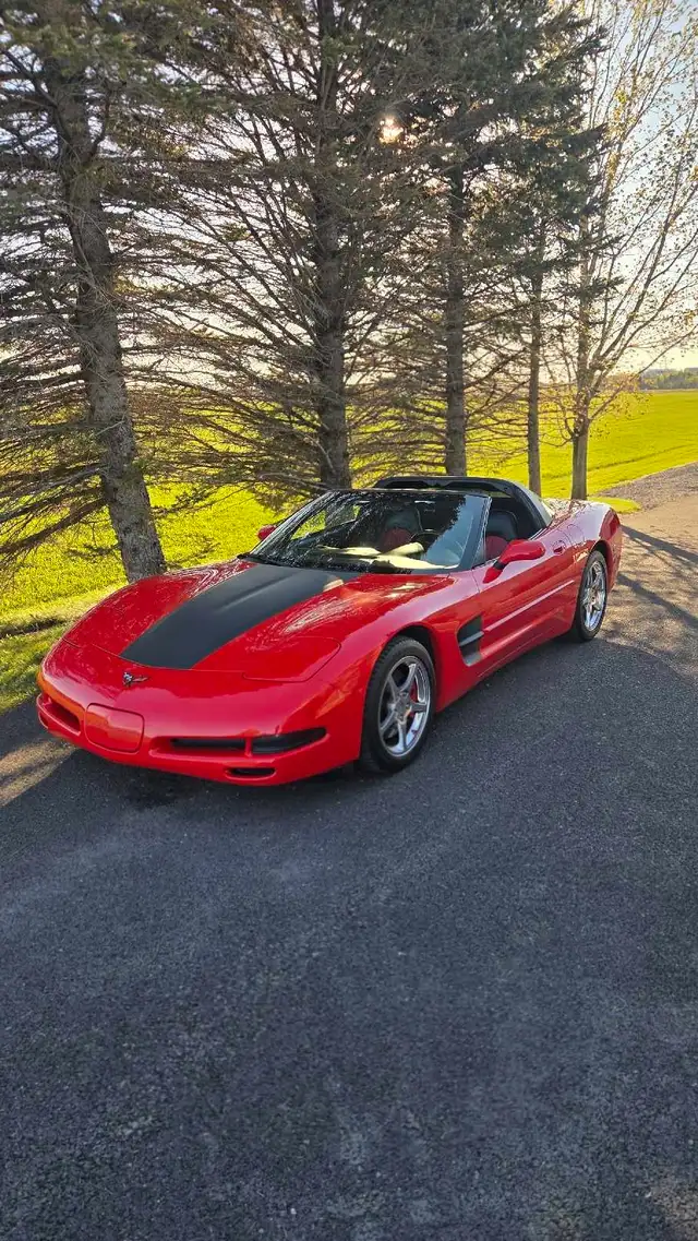 Chevrolet Corvette C5 Targa 2001