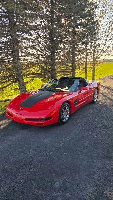 Chevrolet Corvette C5 Targa 2001