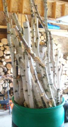 BARREL OFBIRCH STICKS