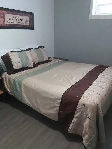 basement suite - Photo 4