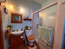 Three Bedroom House for Rent – 5 Newcastle Street, Dartmouth - Photo 5