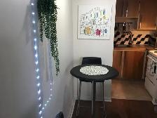 Furnished Studio Apartment Downtown with Parking - Photo 3