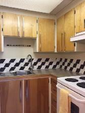 Furnished Studio Apartment Downtown with Parking - Photo 12