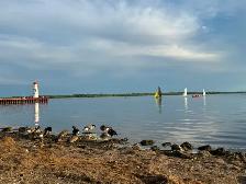 Rare Lachine Ouest Bord de l'eau – Grand 5½ RDC  Couple tranquil - Photo 10