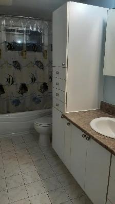 5 1/2 éclairé rez-de-chaussée - Triplex à Saint-Hubert/Longueuil - Photo 2