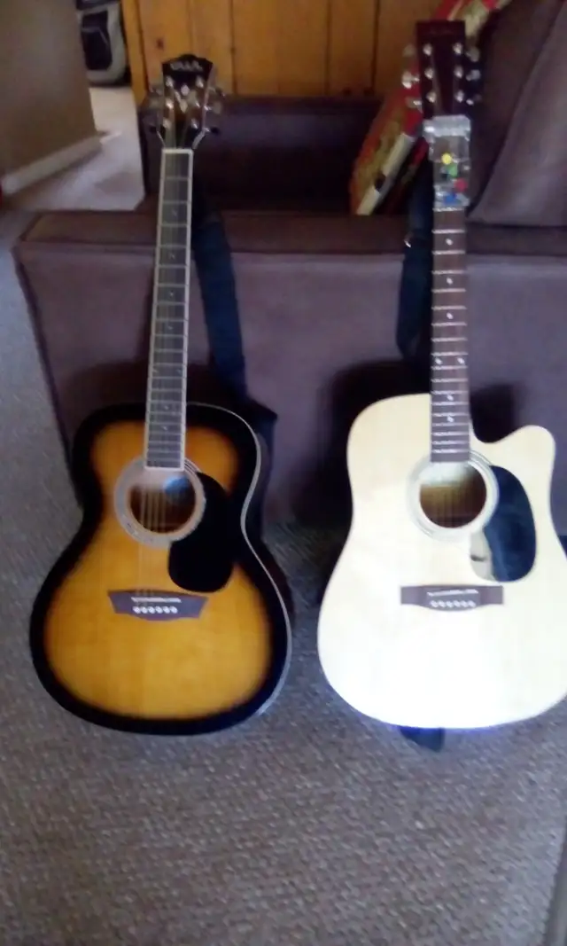 George Washburn Limited and Academy guitars for sale