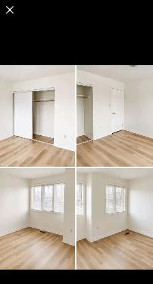 3 bedrooms bright upstairs rooms- 3 min walk to UOIT in north OA