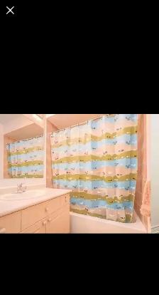 3 bedrooms bright upstairs rooms- 3 min walk to UOIT in north OA - Photo 4