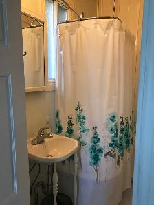 Large Bedroom plus Den on Main Floor in Quiet Century Home - Photo 9