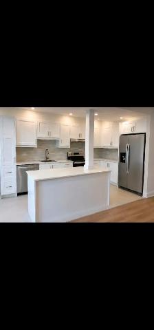 NEWLY RENOVATED 1 BEDROOM APARTMENT - LASALLE
