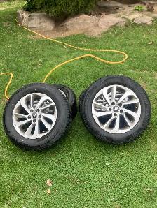 Tires and Rims