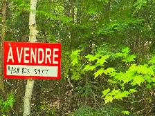 Terrain a. Vendre a 10 minutes de Rawdon e st julienne