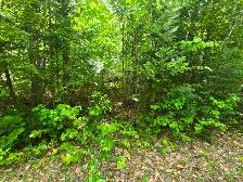 Terrain a. Vendre a 10 minutes de Rawdon e st julienne - Photo 4