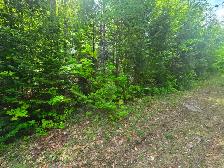 Terrain a. Vendre a 10 minutes de Rawdon e st julienne - Photo 5