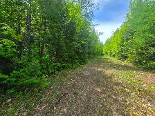 Terrain a. Vendre a 10 minutes de Rawdon e st julienne - Photo 6
