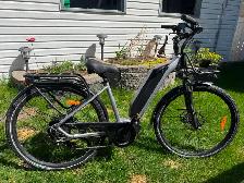 Electric Bike