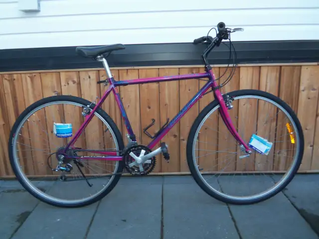 Vélo bicyclette 26 pouces raleigh hybride