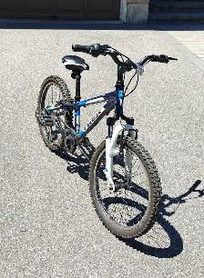 Trek M160 Kid's 6-speed bike, 20' tires